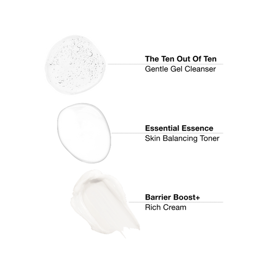 DR. EMI ARPA SKIN Core Collection Skincare Set