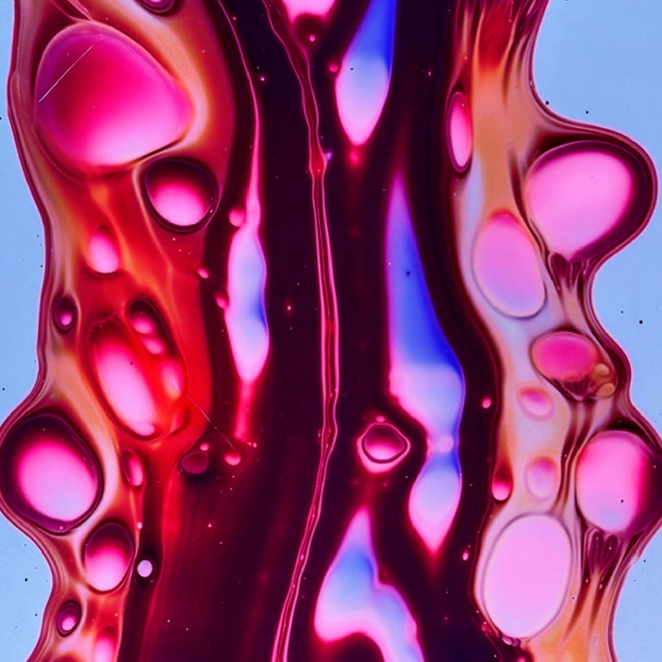 FERMENTED FORMULATIONS