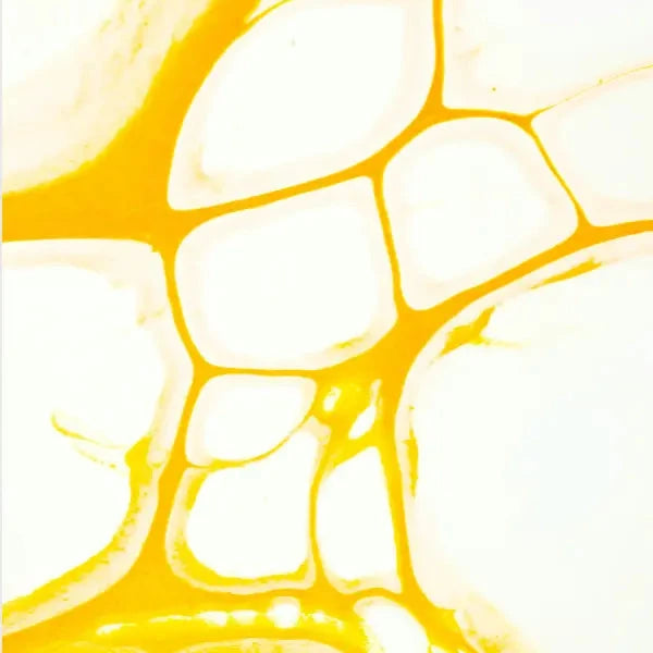 DR. EMI ARPA SKIN Barrier Boost