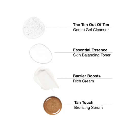 Core Collection+ Bronze Edition