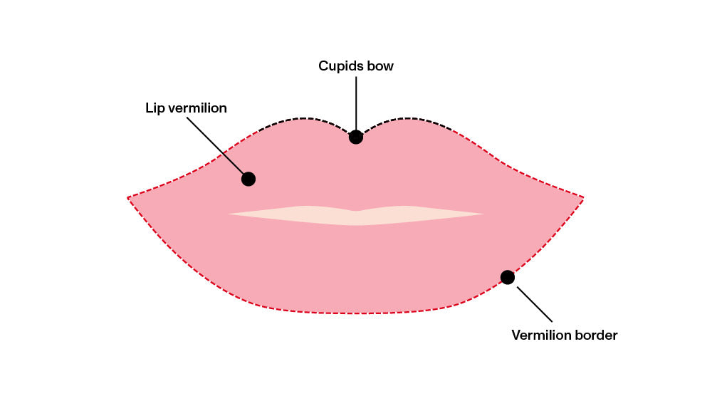 <p>WARUM UV-SCHUTZ FÜR DIE LIPPEN UNVERZICHTBAR IST</p>
