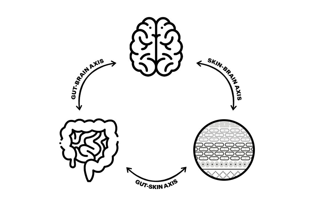 <p>EXKURS: DIE “GUT-SKIN AXIS”</p>
