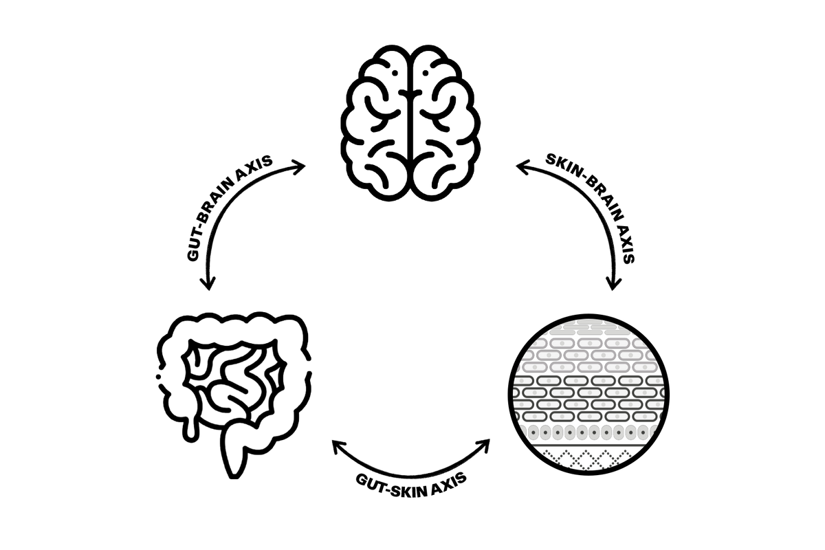 <p>EXKURS: DIE “GUT-SKIN AXIS”</p>