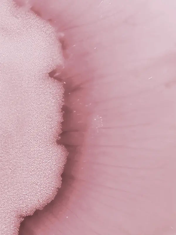 DR. EMI ARPA SKIN The Ten out of Ten Gentle Gel Cleanser Fermented Formulations